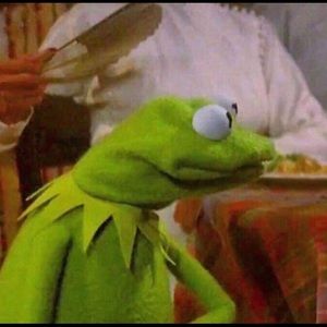 Meet your Posher, Abi